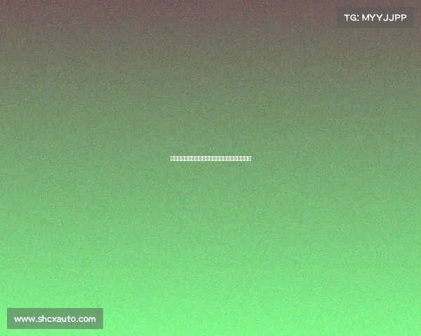 纽卡斯尔联近期向米兰询问佳夫转会情况并表达兴趣