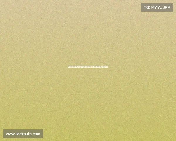 弗格森前助教称曼联引进谢什科冒险 类似当年霍伊伦转会策略